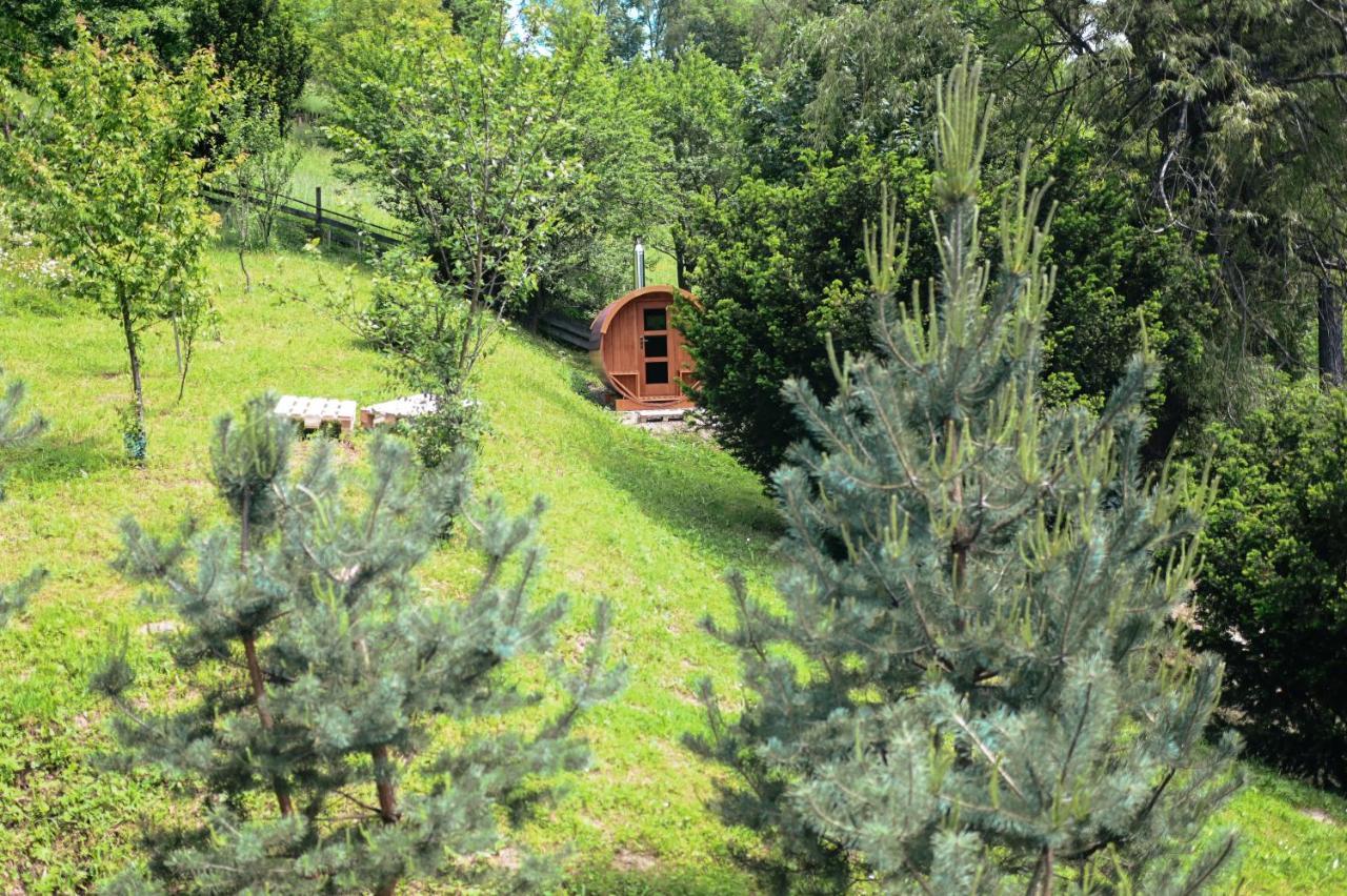 Cisówka Pokoje Gościnne Piwniczna-Zdroj Exterior foto